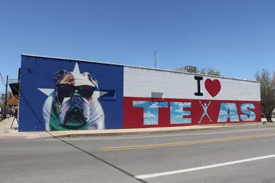 A bulldog mural